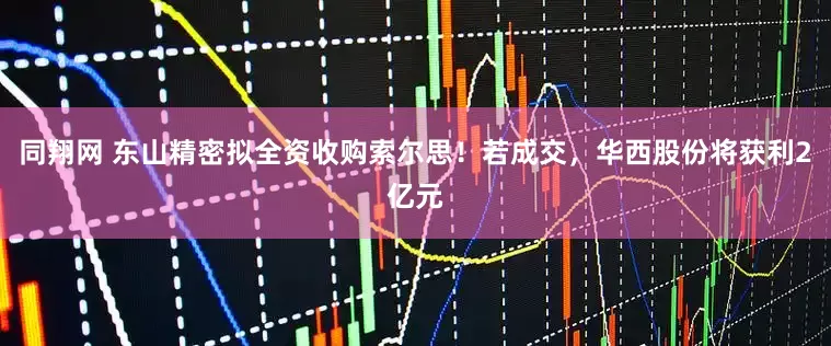 同翔网 东山精密拟全资收购索尔思！若成交，华西股份将获利2亿元