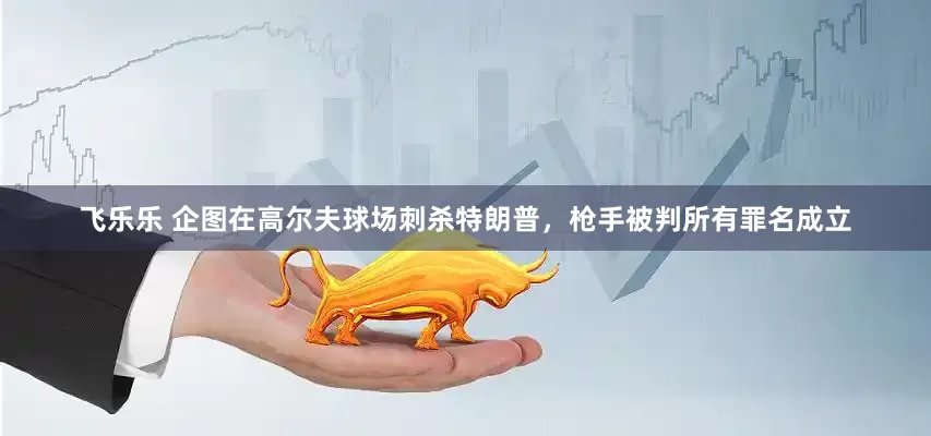 飞乐乐 企图在高尔夫球场刺杀特朗普，枪手被判所有罪名成立
