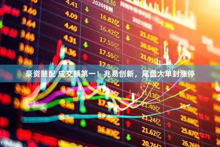 豪资随配 成交额第一！兆易创新，尾盘大单封涨停